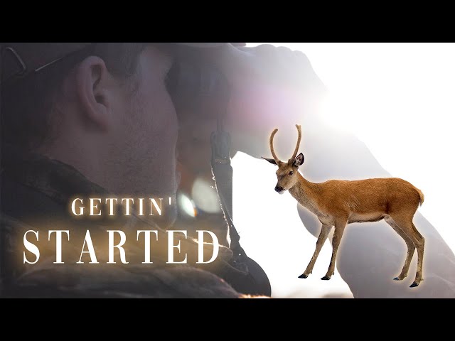 Gettin' Started - Deer Stalking!
