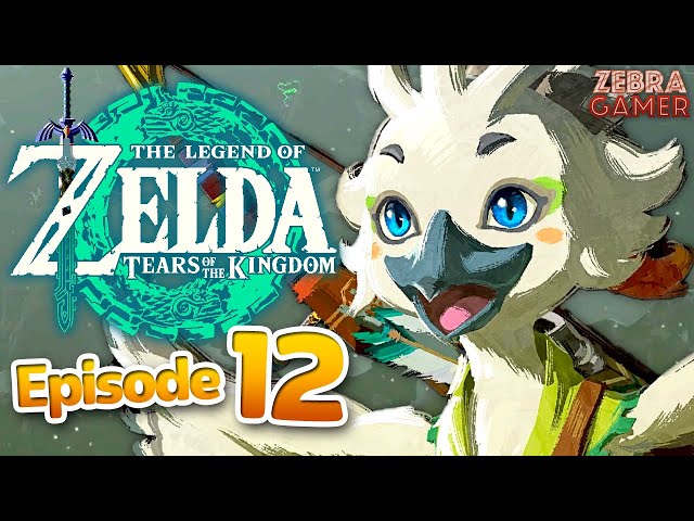The Legend of Zelda: Tears of the Kingdom Gameplay Part 12 - Rito Village! Tulin and Teba!
