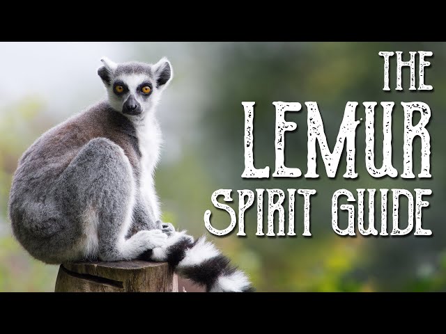 Lemur Spirit Guide - Ask the Spirit Guides Oracle - Totem Animal, Power Animal - Magical Crafting