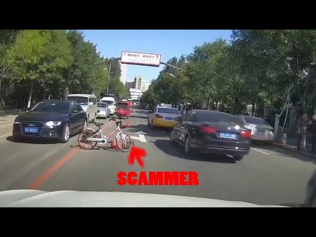 The BEST of Insurance Scam Tryhards Fails (Reaction Video)