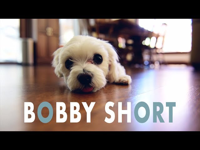 Bobby - A Short Film