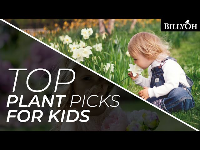 7 Top Plant Picks For Kids Who Want To Start Gardening - Plant Choices For Beginners And Children