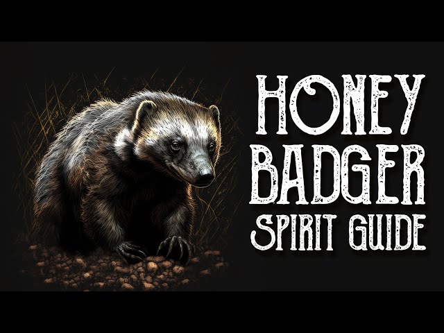 Honey Badger Spirit Guide Ask the Spirit Guides Oracle, Totem Animal, Power Animal, Magical Crafting