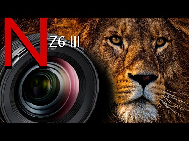Introducing - The New Nikon Z6 III | Official Trailer - nikon
