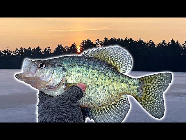 Thin Ice Winter Camping ~ Ice Fishing WALLEYE and CRAPPIE ~