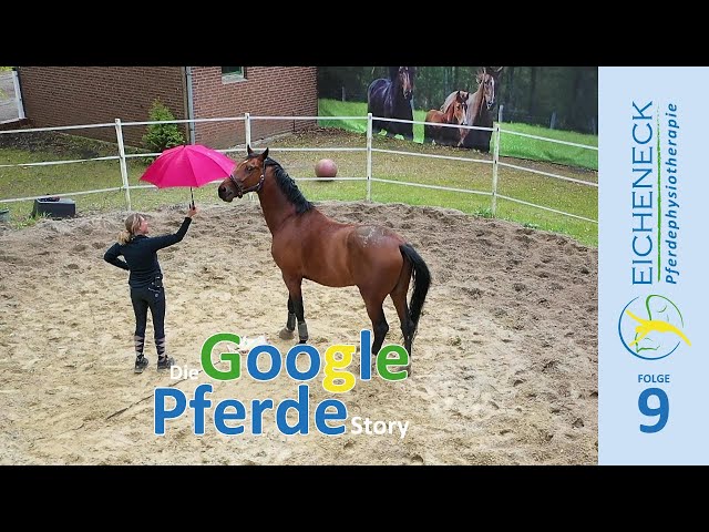 Oh Schreck | Die Google Pferde Strory - Folge 9