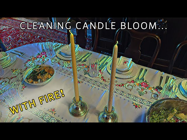 Cleaning Candle Bloom... With Fire!  #shorts