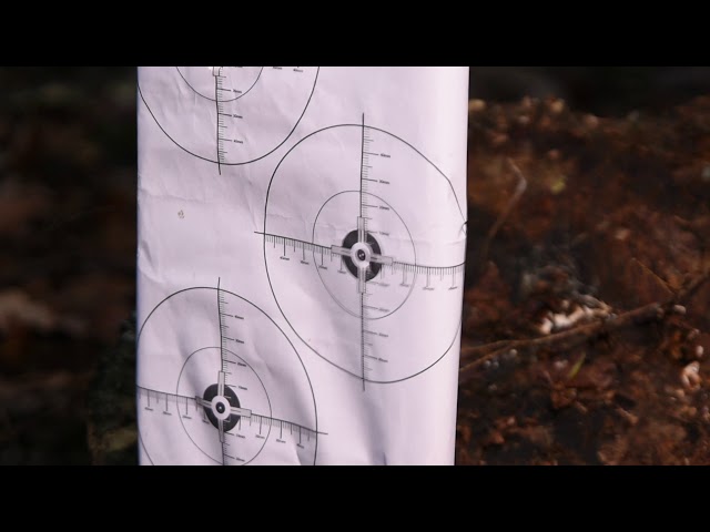 Walther Rotex RM8 Varmint Grouping (Review Sneak-Peek)