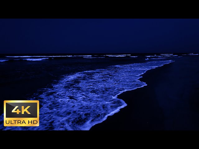 Ocean White Noise For Deep Sleep 4K | Reduce Stress, Encouraging Your Body and Mind to Find Peace