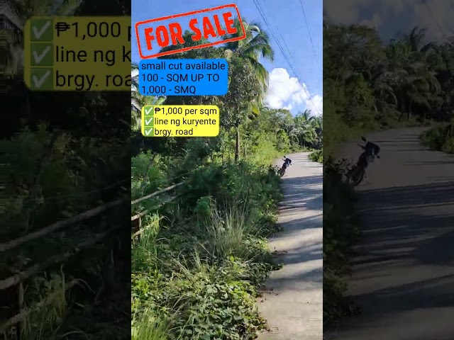 #90 Lot for sale small cut 100 sqm to 1,000 sqm available Calauag Quezon province