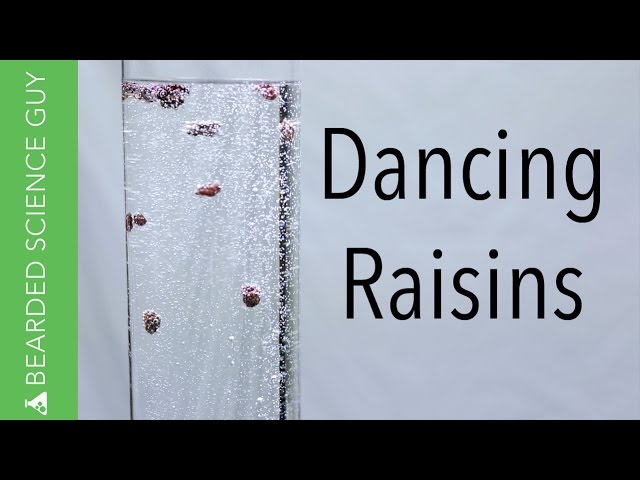 Dancing Raisins(Chemistry)