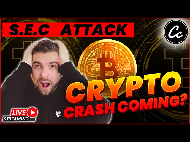SEC WANTS YOU OUT! Will this LEAD to a CRYPTO CRASH?
