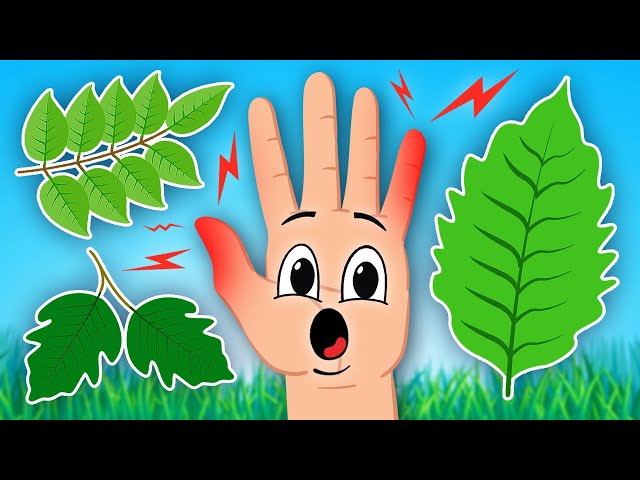 Discover The Top 3 Plants To Stay Away From! | Original Song For Kids | KLT