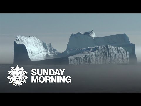 Moment in Nature | CBS Sunday Morning