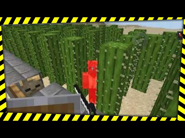 Minecraft - Growing and Using Cactus Against Zombies and Husks