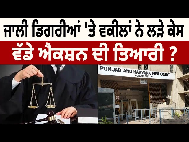 Fake Degrees 'ਤੇ Advocates ਨੇ ਲੜੇ Case, ਵੱਡੇ Actionਦੀ ਤਿਆਰੀ ? | D5 Channel Punjabi