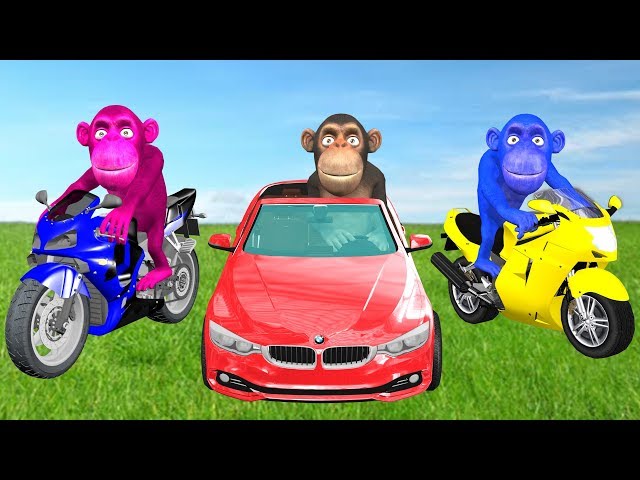 Funny Monkeys On Power Wheels Unboxing Surprise Toys - Wild Animals Animation Cartoon For Kids
