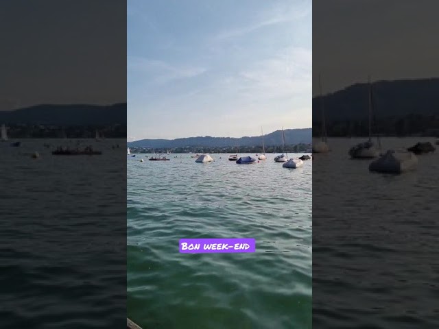 Lac de Zurich #momentdétente Bon week-end ! #swiss