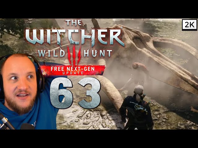 Lets Play The Witcher 3: Wild Hunt Remastered (Deutsch) [2K] #63 - Fragezeichen was das Zeug hält