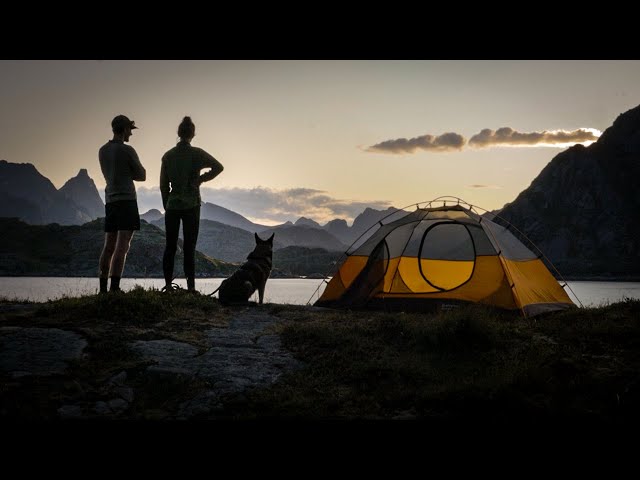 Hiking Over the Lofoten Islands With a Girl and a Dog