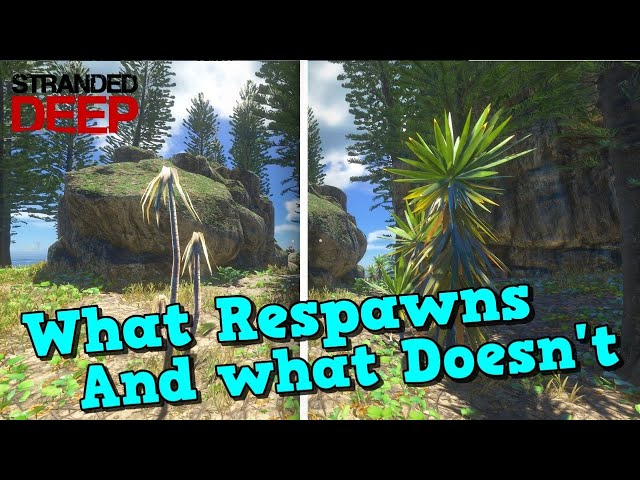 Stranded Deep - What Re-spawns and what does not