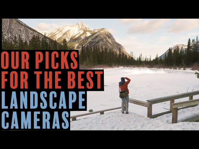 The best camera for landscape photography (at 3 budgets)