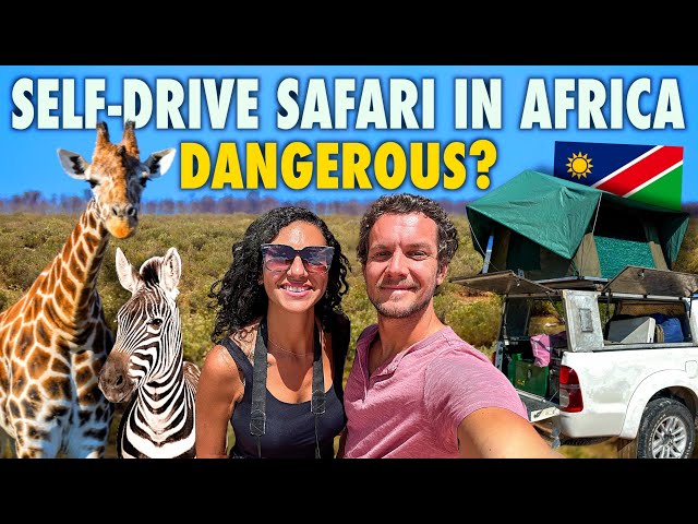 We Went On A Self-Drive Safari In NAMIBIA! 🇳🇦 ETOSHA NATIONAL PARK