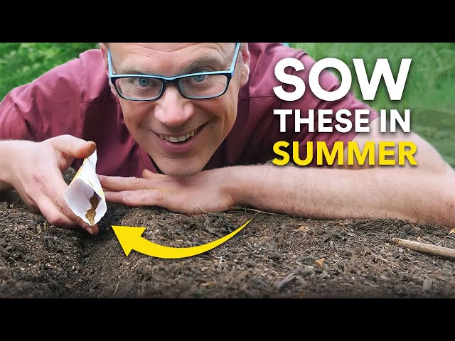 You Must Sow These in Early Summer