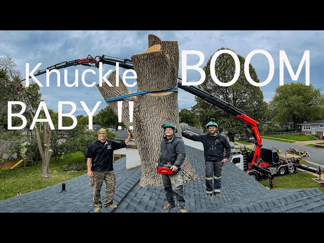 KunckleBOOM BABY! Reon's 110 ton TreeMek picks apart a big Ash tree in Wisconsin.