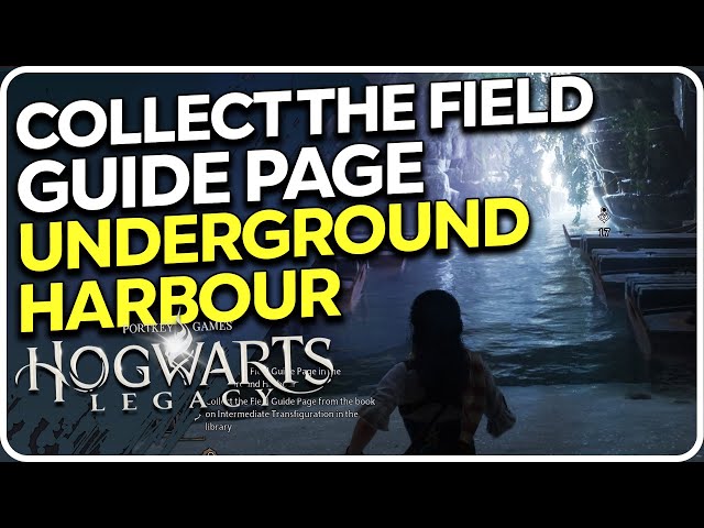 Collect The Field Guide Page in the Underground Harbour Hogwarts Legacy
