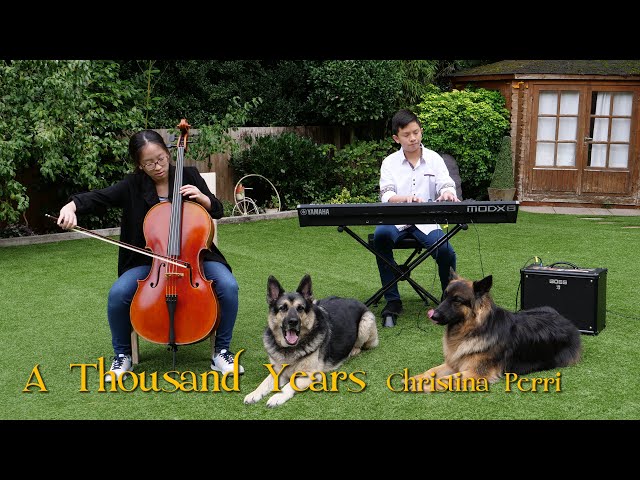 Christina Perri A Thousand Years Piano Cello Cover by Teenage Boy Girl and Dogs | Cole Lam & Seung-A