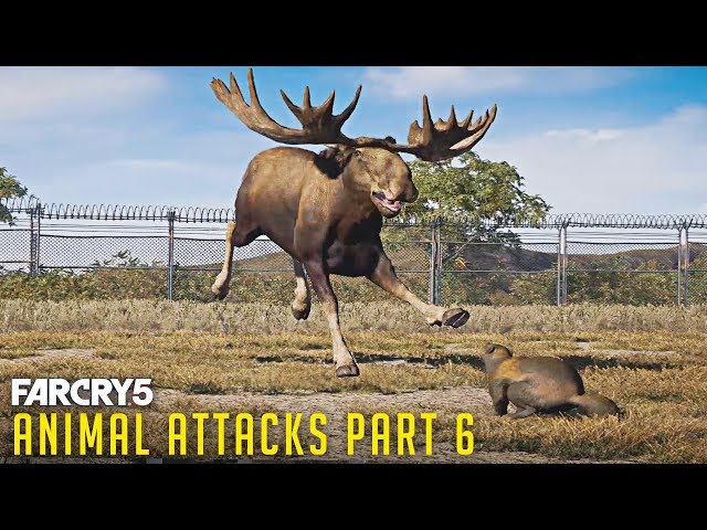 All Animal Attacks on Wolverine (Animal Attacks Part 6) Animals VS Wolverine - FAR CRY 5