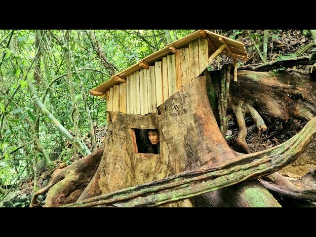 Build a shelter in the giant tree stump. beautiful & warm - Tropical Forest #9