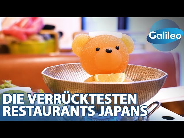 Feuernudeln und Teddy-Onsen: Die verrücktesten Restaurants Japans
