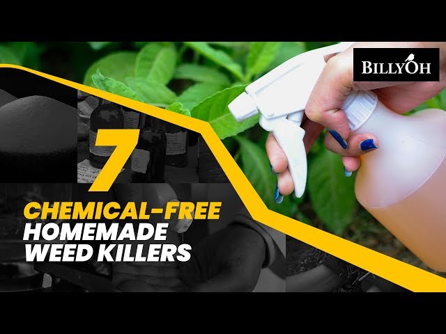 7 Chemical-Free Homemade Weed Killers - Awesome Gardening Tips For Experts & Beginners