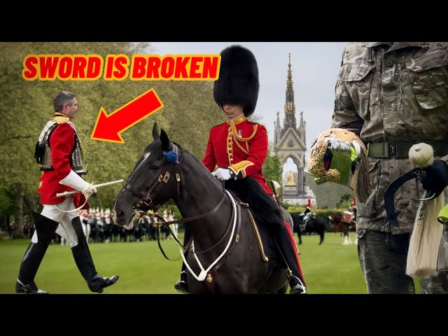 BRAVE TROOPER KICKED OFF HORSE AT MAJOR LONDON INSPECTION FEATURING 172 HORSES