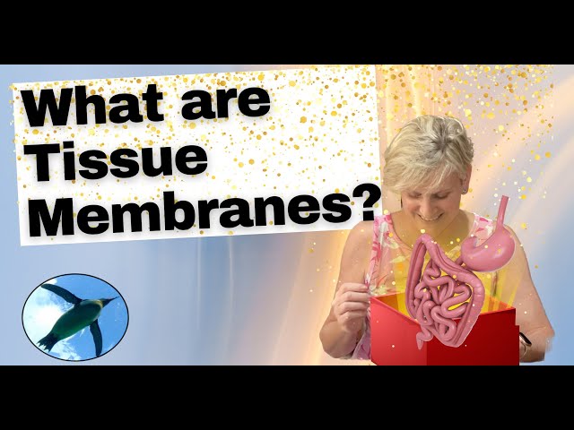 Tissue Membranes EXPLAINED 🐧