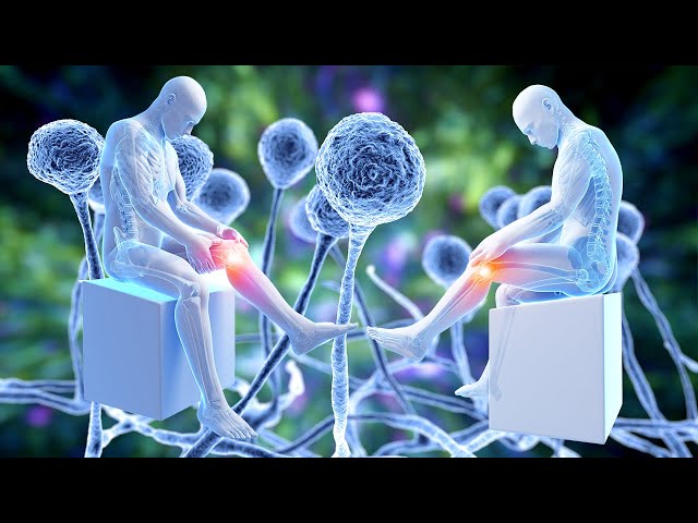 Scientists CAN'T Explain Why This Audio HEALS People- Alpha Waves Heals the Whole Body- 528Hz+432Hz