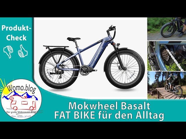 Mokwheel Basalt Fatbike im Womo.blog Test