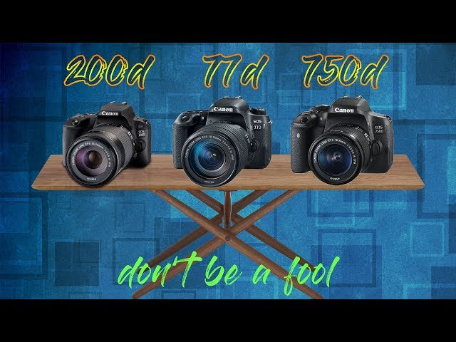 Canon 200D vs Canon 77D vs Canon 750D | Camera Buying Guidance