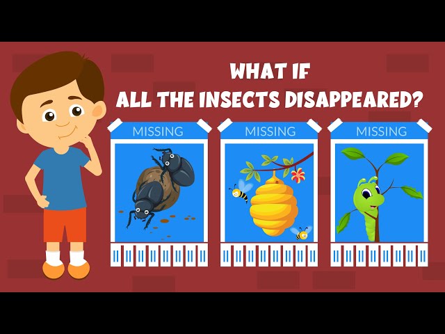 What if all the insects disappeared? - What If All Insects Vanished? - Learning Junction