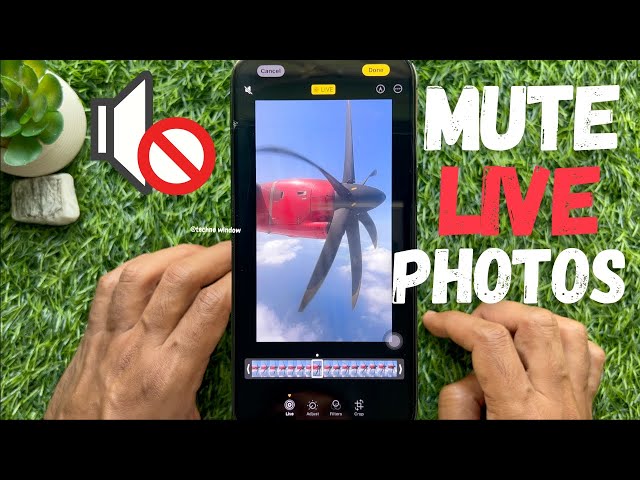 How To Turn Off Audio From Live Photos on iPhone || Mute Live Photos