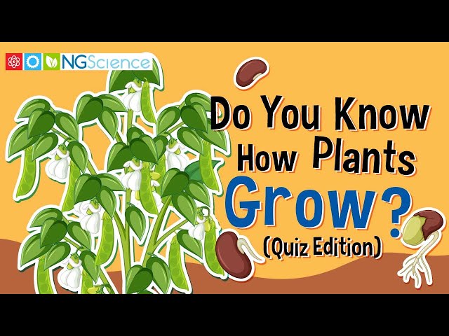 Do You Know How Plants Grow? (Quiz Edition)