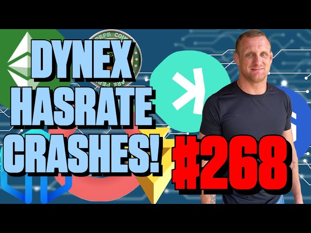 Dynex Hashrate Crashes | Episode 268