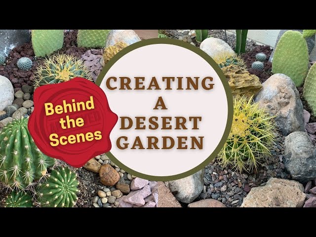 Creating a Desert Garden: Behind the Scenes (Part 2) | Cactus Garden | Desert Landscape
