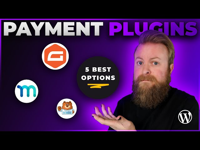 5 Best WordPress Payment Plugins in 2024