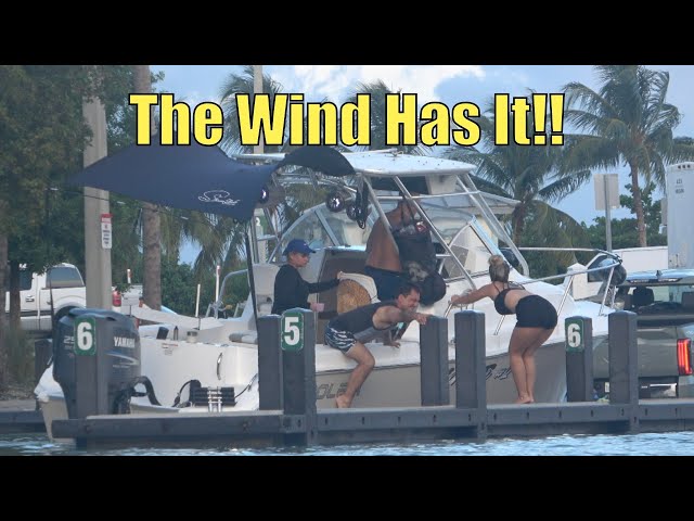 The Wind Gets Them!!  Miami Boat Ramps | 79th Street