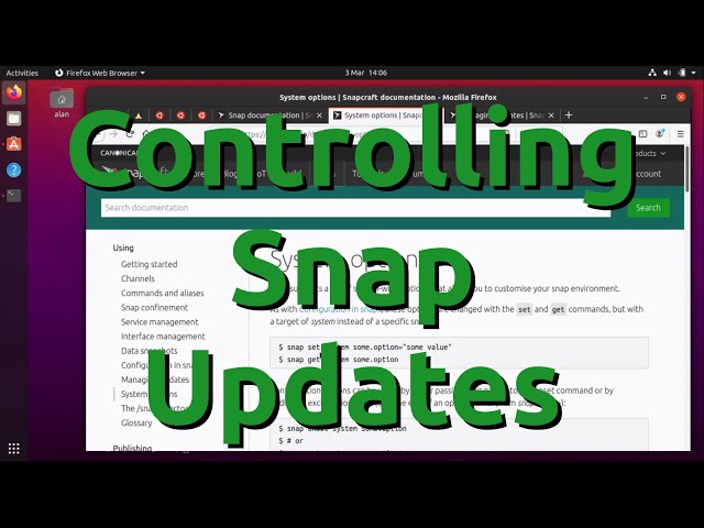 Controlling Snap Updates
