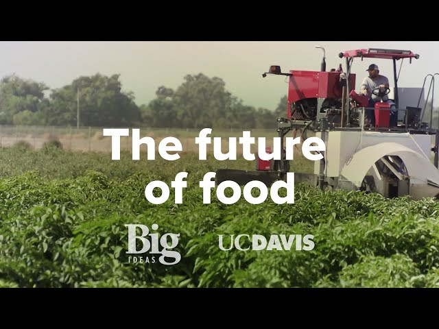 Sustainable Agriculture | UC Davis Big Ideas: Smart Farm