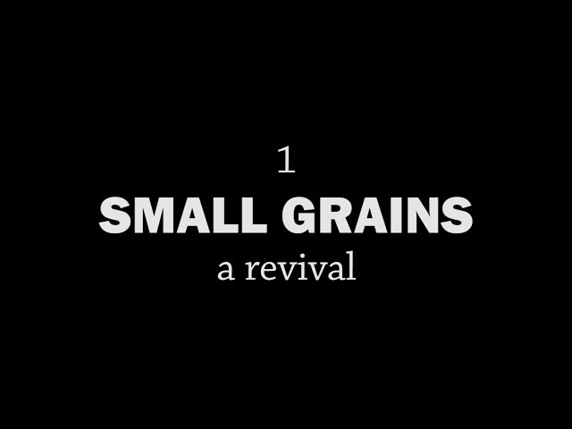 Rotationally Raised - Small Grains: A Revival
